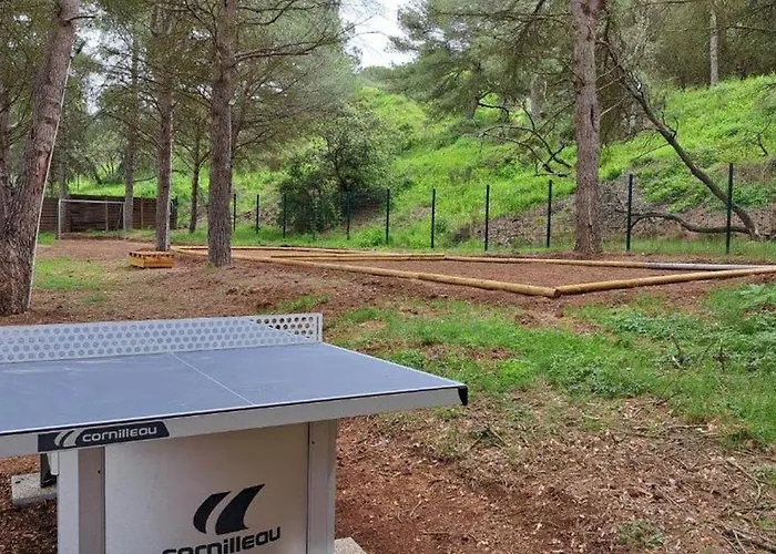 Climatisé 6 Pers., Piscine Chauffée, Parking, Terrasse Teck, Calme Près Plages Et Commerces - Fr-1-607-59 Chalet